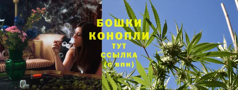 Конопля SATIVA & INDICA  Чкаловск 